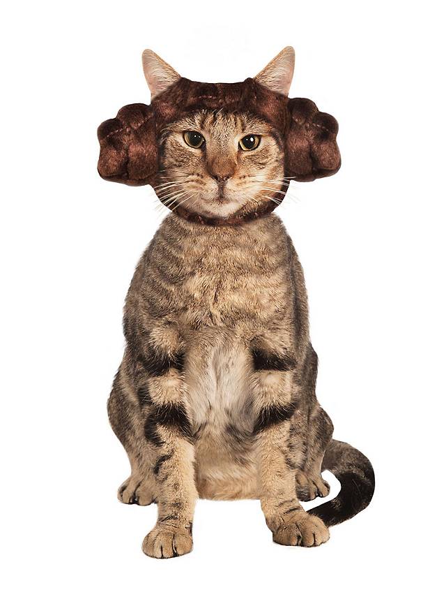 Star Wars Prinzessin Leia Haarreif für Katzen