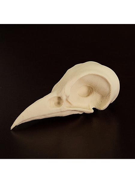 Andracor 3D-Druck Rabenschädel - 10cm, Knochenfarben, Bemalbar Für Deko & Kostüme