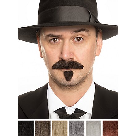 Bartset Zappa mit Schnurrbart und Kinnbart
