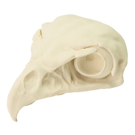 Cráneo De Halcón Impreso En 3D Para Pintar (11cm)