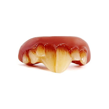 Denti di topo