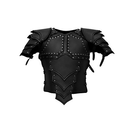 Dragonrider Leather Armor black 
