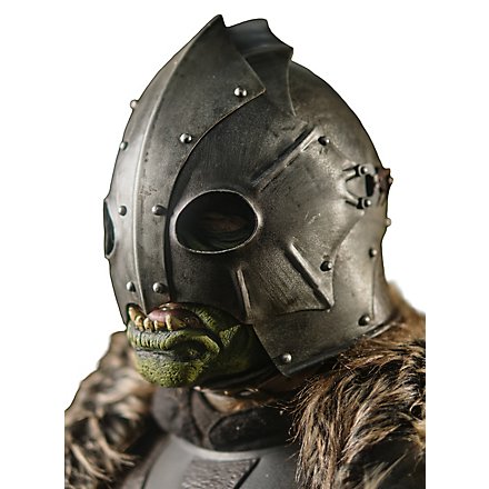 Fantasy Helm - Raider