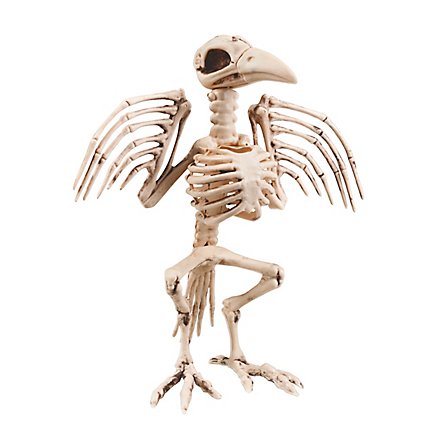 Fugleskelett Halloween Pynt
