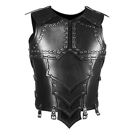 Leather Armour with shoulders - Dragon Rider - andracor.com