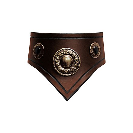 Leather Collar brown & gold 