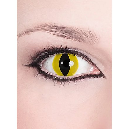 Lenti a contatto Predatore giallo gatto
