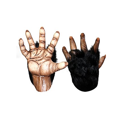 Mains de chimpanzé marron