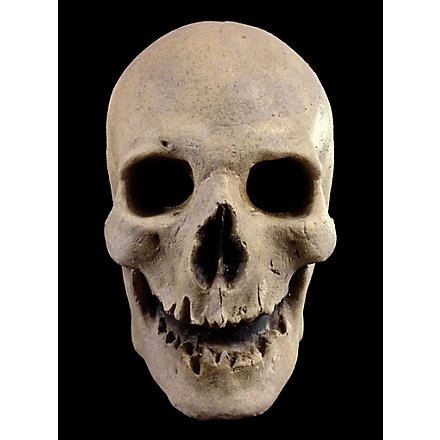 Old Bone Skull Mask