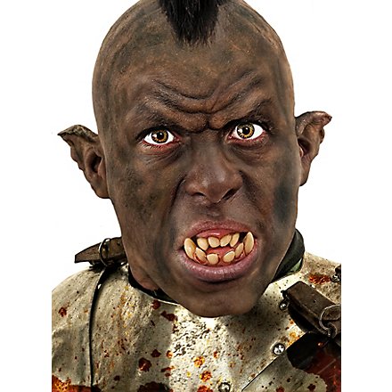 Orejas De Orco Aplicación De Látex