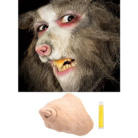 Rat Latex Snuit Met Mastix