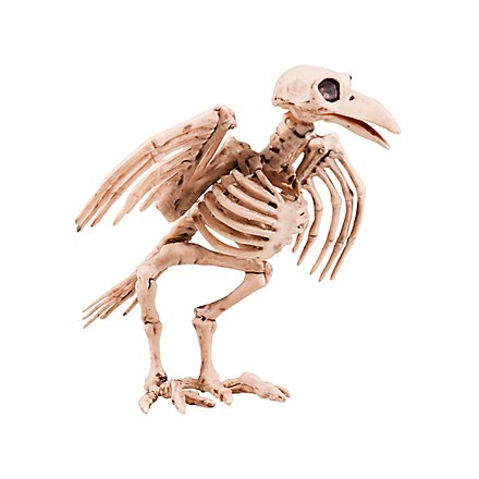 Scheletro di corvo decorazione di Halloween