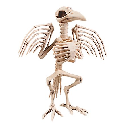 Scheletro di uccello decorazione di Halloween