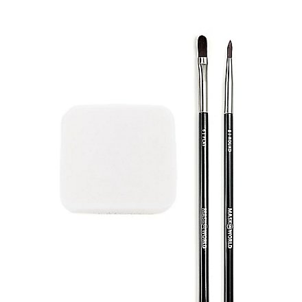 Set di pennelli e spugne con 2 pennelli e spugna per il trucco per applicare il make-up