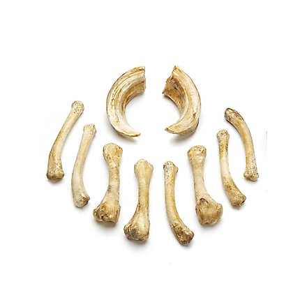 Set d'os en résine moulée - Voyant (10 pcs)