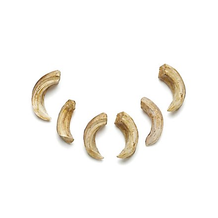 Set of Resin Bones - Boar tusks (6 Pieces)