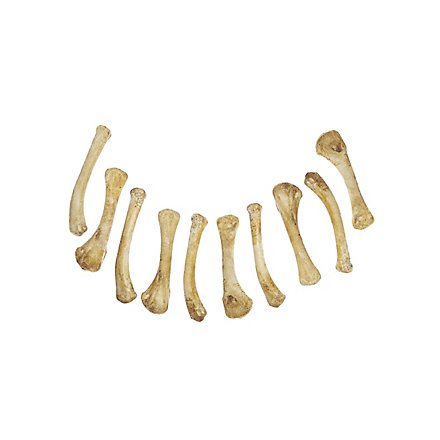 Set of Resin Bones - Chicken legs (10 Pieces)