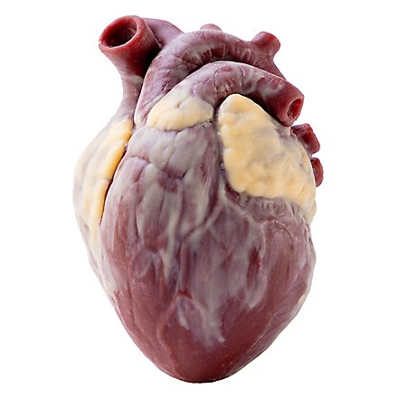 Small silicone heart - can be filled with fake blood (12 cm)