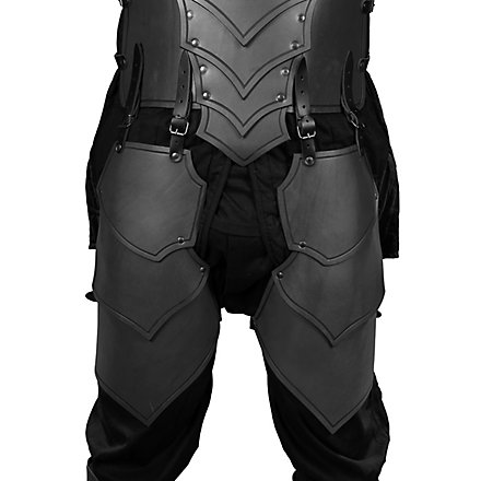 Tassettes en cuir - Monteur de dragon