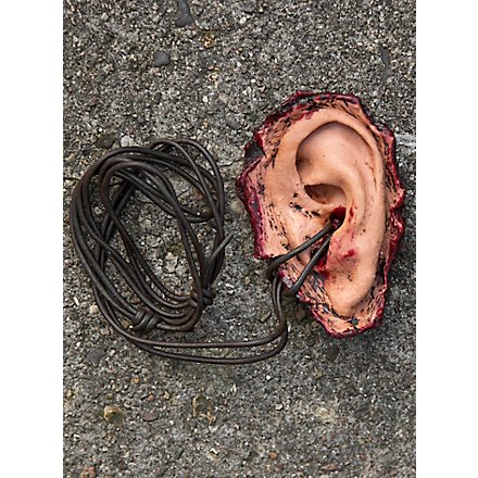 Trophée - latex - oreille humaine