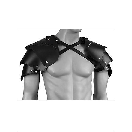 Warrior Leather Shoulder Guards 