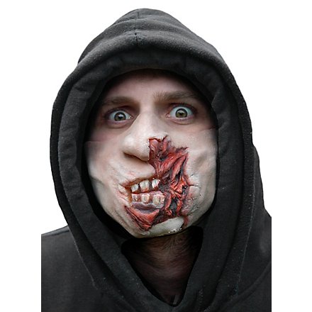 Zombie Mask - Decayed Dan