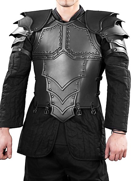 Complete leather armor set - Dragon Rider - andracor.com