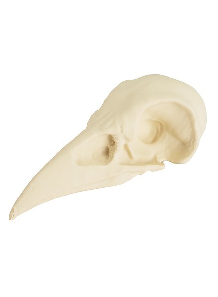 Cráneo De Cuervo Impreso En 3D Para Pintar (10cm)
