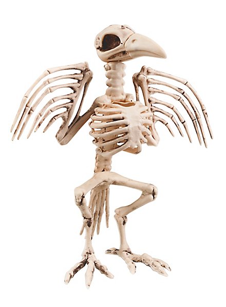 Fugleskelett Halloween Pynt