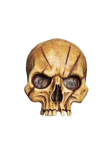 Placa Decorativa De Calavera De Resina - Pequeña, Mellada