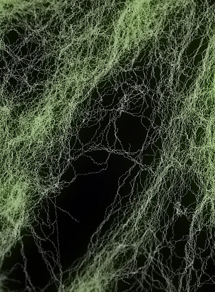 Ragnatela elastica e fosforescente