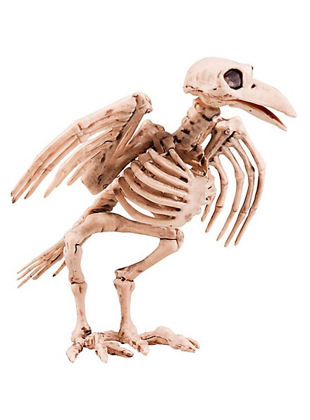 Scheletro di corvo decorazione di Halloween