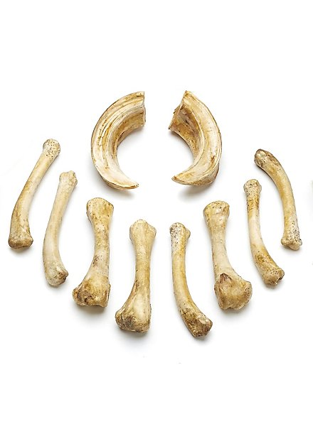 Set of Resin Bones - Soothsayer (10 Pieces)