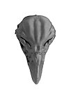 3D-Druck Adlerschädel zum Selbstbemalen (16 cm)