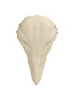 3D-Druck Adlerschädel zum Selbstbemalen (16 cm)
