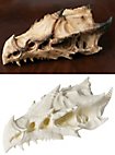 3D-Druck Drachenschädel zum Selbstbemalen (32 - 42cm)