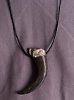 3D Print - Bear Claw Pendant with Leather Strap (10cm)