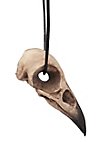 3D-Print Ravenschedel Hanger Met Leren Band (11cm)