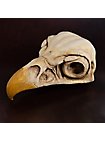 3D-printed Eagle skull for self-painting (16cm)