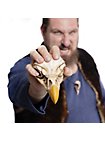 3D-printed Eagle skull for self-painting (16cm)
