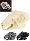 3D-printed rabbit skull for self-painting (10cm)