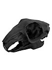 3D-printed rabbit skull for self-painting (10cm)