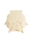3D-printed rabbit skull for self-painting (10cm)