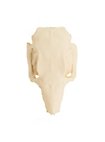 3D-printed rabbit skull for self-painting (10cm)