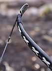 Arc Recurve - Écuyer, moyen