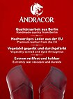 Armschienen - Drachenreiter