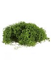 Artificial Moss - 50 Gram