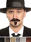 Bartset Zappa mit Schnurrbart und Kinnbart