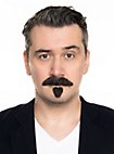Bartset Zappa mit Schnurrbart und Kinnbart