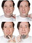 Tycoon Professional Beards Made of Real Hair
